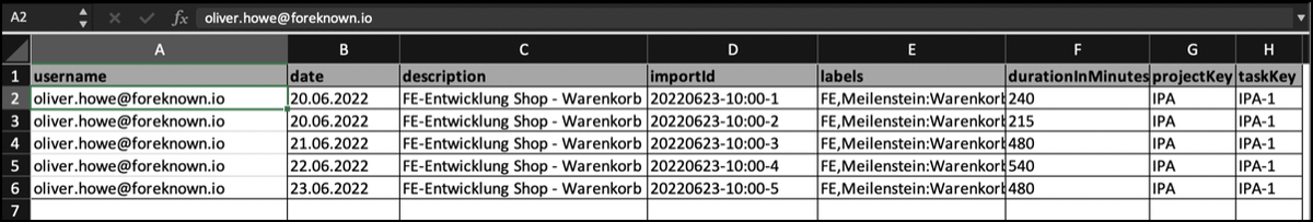 Tätigkeiten importieren - Excel-Vorlage