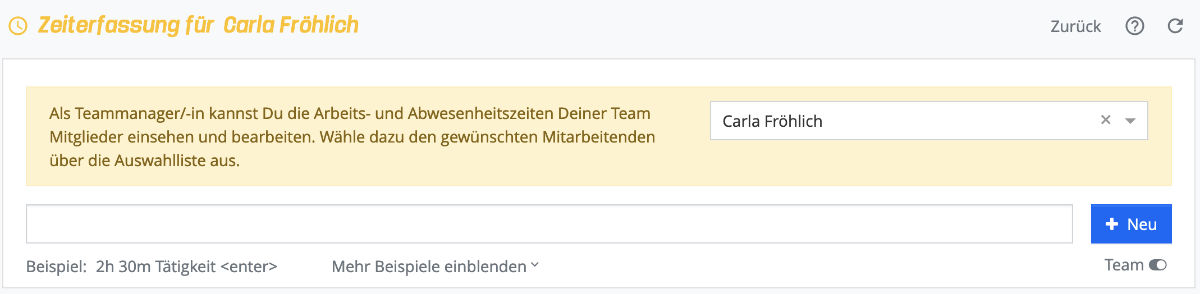 Zeiterfassung für Team Manager