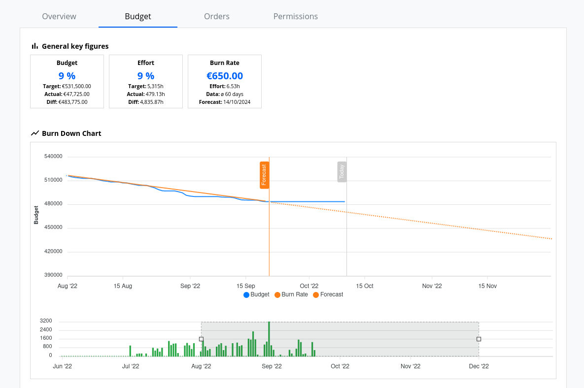 Budget - Controlling - KPIs and Burn Down Chart